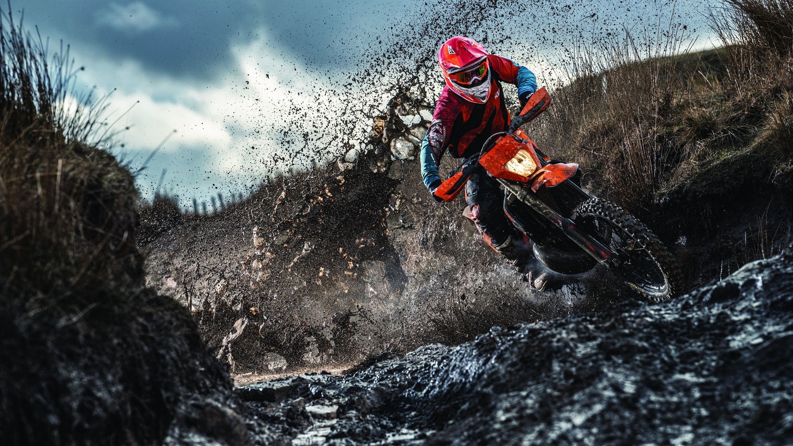 “西甲焦点演出：明星对决引爆现场气氛”，西甲现场观众