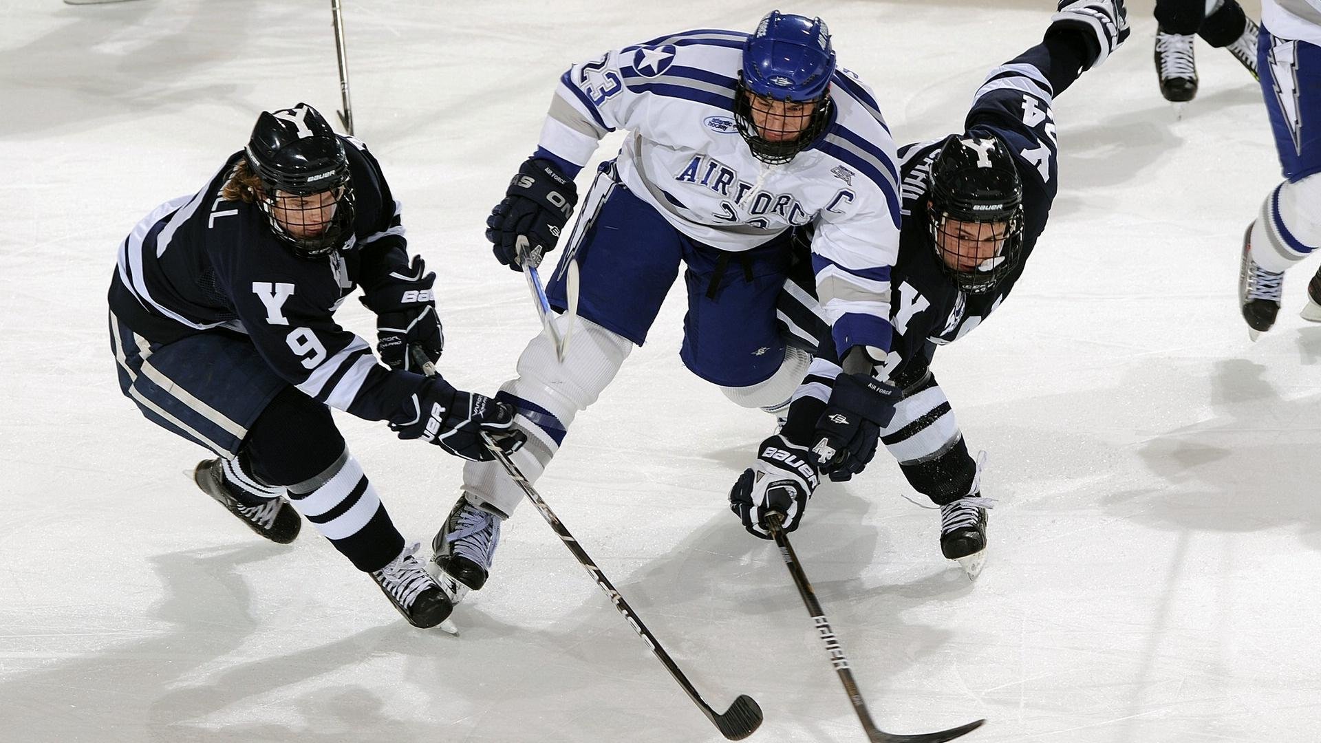 特色足球场馆科技“智造”引领行业新风潮，绿色可持续发展逐步落实